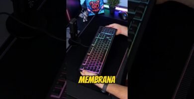 teclados de membrana para estudiantes: con diseño más ergonómico