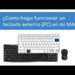 Teclado que no responde en teclados para Mac: cómo restablecer el teclado