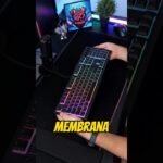 teclados de membrana para uso diario: mejores opciones por comodidad