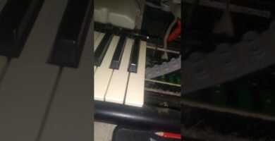 Teclado que no responde en teclados con cable: cuáles son las causas más comunes