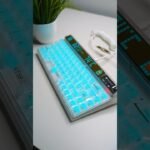 configuración de retroiluminación por zona con teclados RGB económicos
